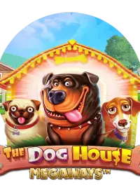 Dog House Megaways — AquaWin Casino